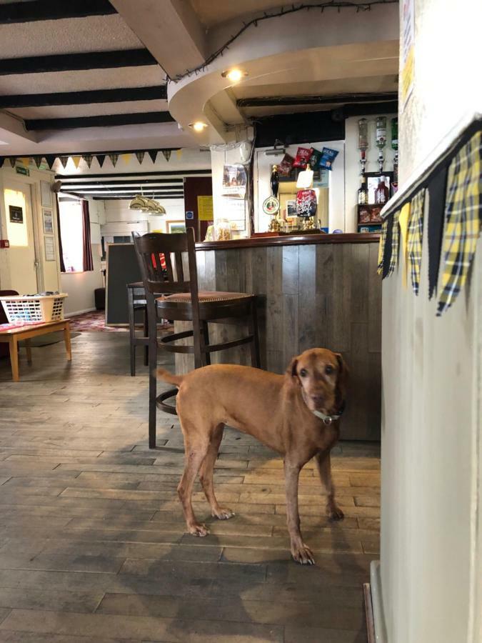 The Kings Head Hotel Chacewater Ngoại thất bức ảnh